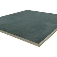 Anthracite Porcelain 20mm Bullnose Step