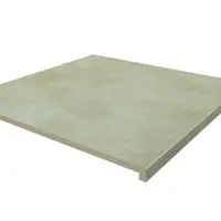 Area Porcelain 40mm Downstand Step
