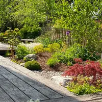 Driftwood Millboard Decking