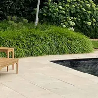 Florence Beige Porcelain 20mm Bullnose Coping Stones