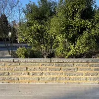 Kandla Grey Sandstone Walling