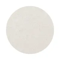 Larsen White Pointing Mortar
