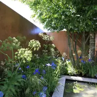 Steel Corten Luxury DesignClad