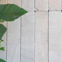 Harvest Sandstone Pavers