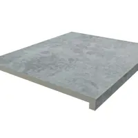 Silver Contro Porcelain 40mm Downstand Step