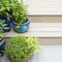 Decking Fascia Boards
