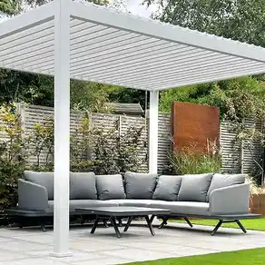 Proteus White