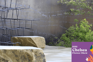 Delivered 13 Chelsea Flower Show Gardens 2