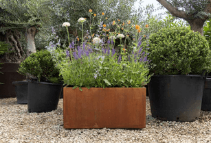 Planters