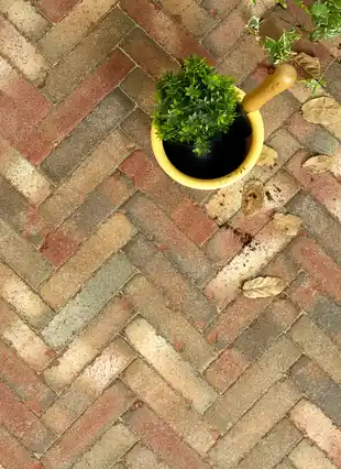 Alpha Clay Paving