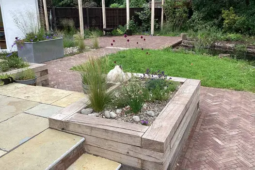 Fluffy ragdoll cat sits on wooden rectangular planter with Antique Yellow Steps leading to the same limestone paving.