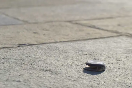 Close up view of small round metal object on Antique Yellow limestone tumbled paving slabs laid by Simon Scott Landscaping.