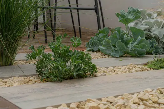Focused camera shot of green plants planted in between cinder porcelain paving, with beige pebbles in between.