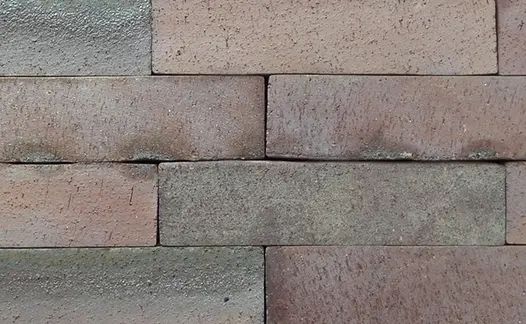 Close view of 10 Bromley clay paving bricks laid edge-on without sanded joints, showing tones of pale red and grey.