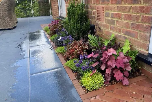 Close view of Thames Valley Florence Dark Porcelain outdoor tiles, with fully planted narrow border edged with clay pavers.