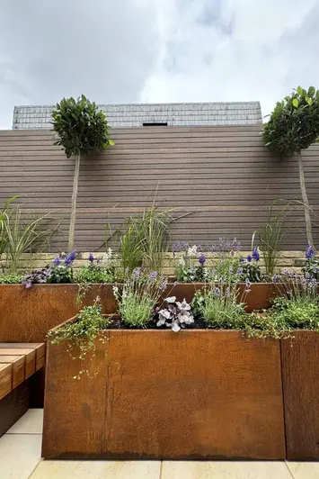 Low angle of tall corten steel planters with vibrant green and purple foliage, contrasted by chestnut-colored composite battens in the background.