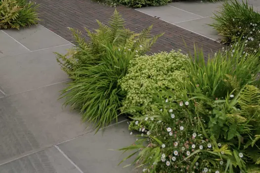 Grasses and small shrubs lean over Heath Sawn sandstone and clay paving. Design by London Gardener, built by Harrington Brothers.