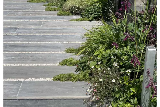 Cinder porcelain paving planks laid in a patio with narrow strips of white pebbles breaking up the paving and plants over spilling.
