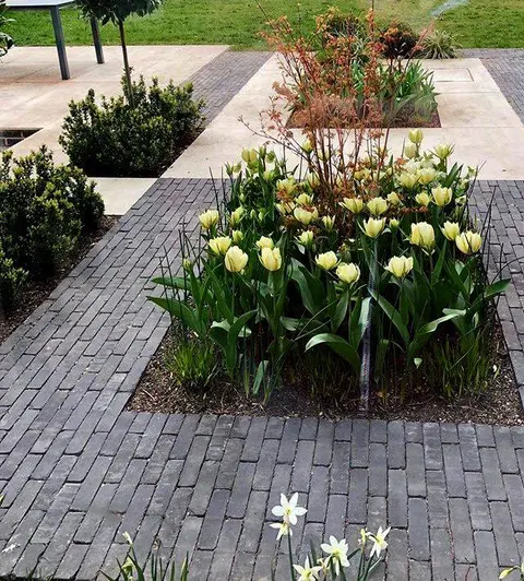 Patio of alternating sections of Lucca Dutch clay paving and pale slabs with planted beds in each section.