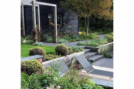 Path of Lucca clay pavers connects 2 levels of garden via 4 steps between retaining beds containing clipped box and low planting.