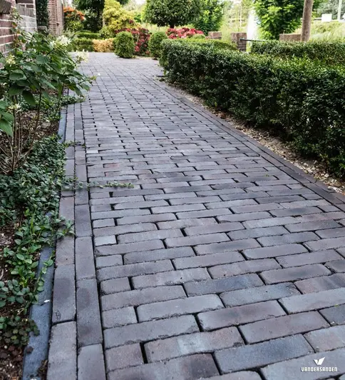 Path of Lugano Dutch clay paving runs down side of brick building between low hedge and planted bed. Shrubs in distance.