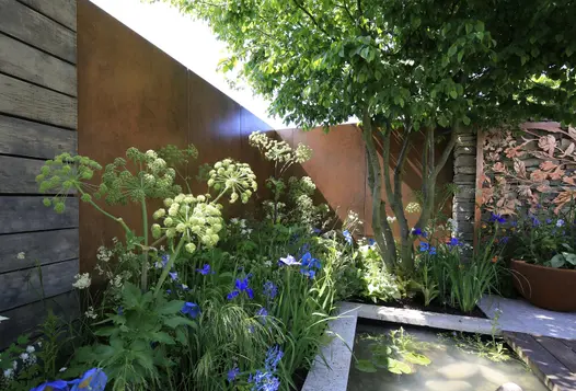Sun pokes through steel corten luxury designclad clad between fencing, onto heaving flowerbed next to tree and pond.