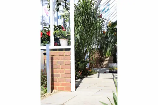 Antique Yellow limestone paving runs through entrance to large greenhouse, partially built with brick, with exotic plants.