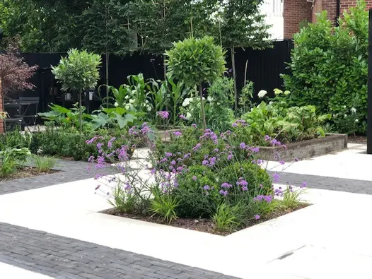 Garden paved with white slabs and Lucca grey clay paving, with insect and raised beds and planted border along tall dark fence.