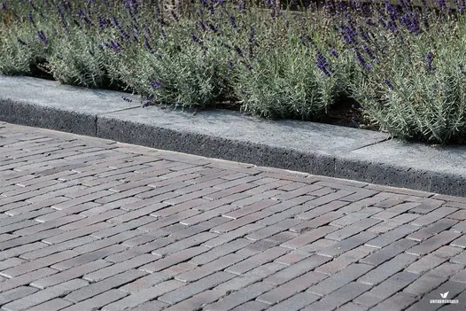 Wide stretch of Lugano clay paving, laid running bond across direction of travel, runs alongside concrete kerb and lavender plants.