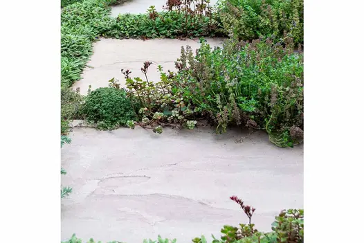 Close up shot of Raj Green Indian Sandstone Paving shows off the texture of the stones, joints filled with green plants.