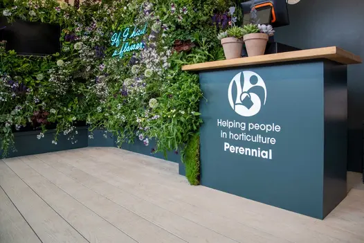 At RHS Chelsea, 2 pots of succulents stand on desk on Perennial charity stand with Limed Oak Millboard Decking and living wall.