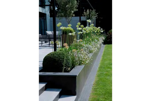 Long retaining bed edges patio, filled with airy planting and clipped balls, faced with Steel Dark porcelain external cladding.