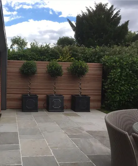 3 topiarised trees in square pots against cedar batten fence panel at far side of patio of grey tumbled Indian sandstone paving.