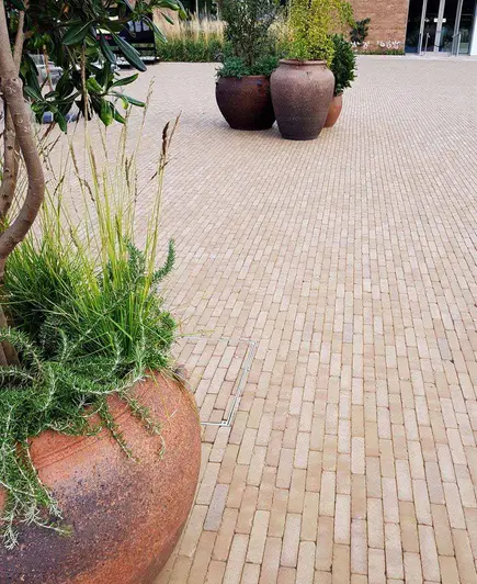 Small group of large pots in middle of expanse of Westminster clay paving, laid outside a corporate-looking building. 