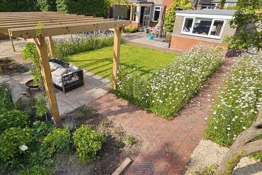 View from corner of garden across lawn, pergola-covered patio, daisy-filled beds and paths of Winton clay pavers to house. 