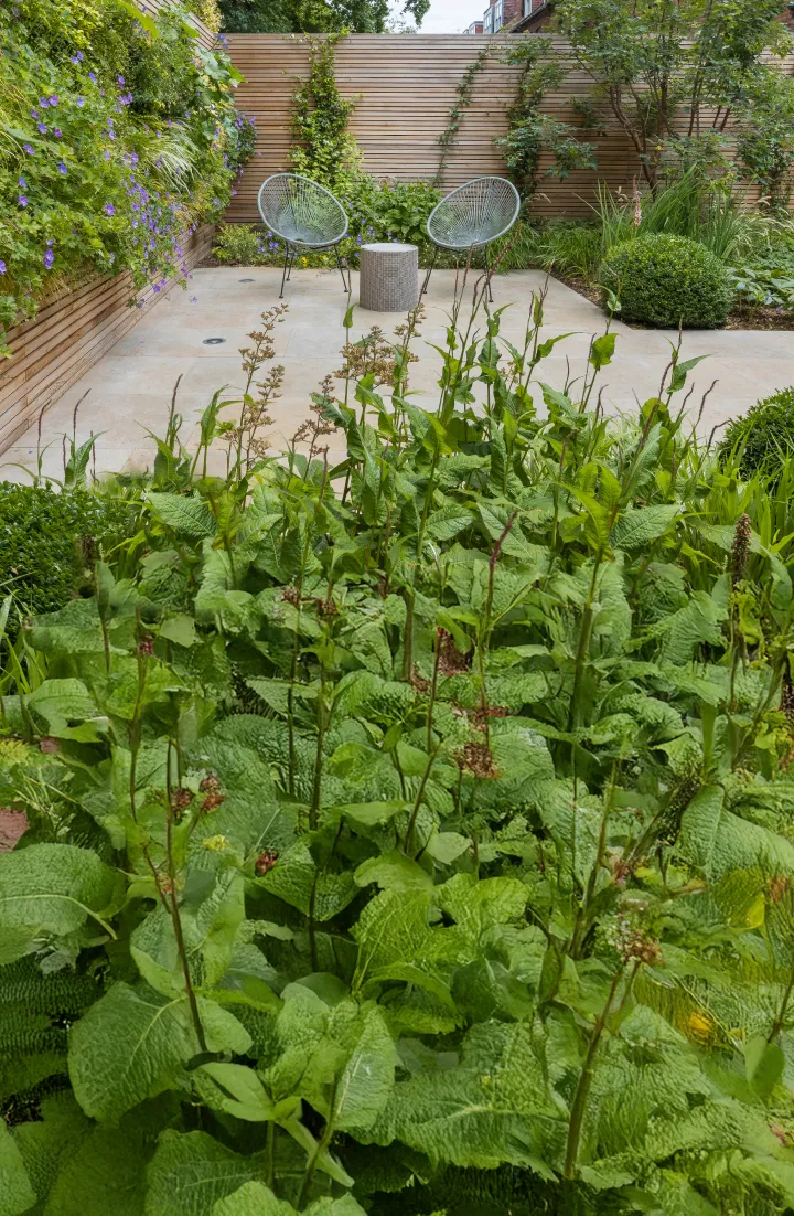 How beautiful gardens begin